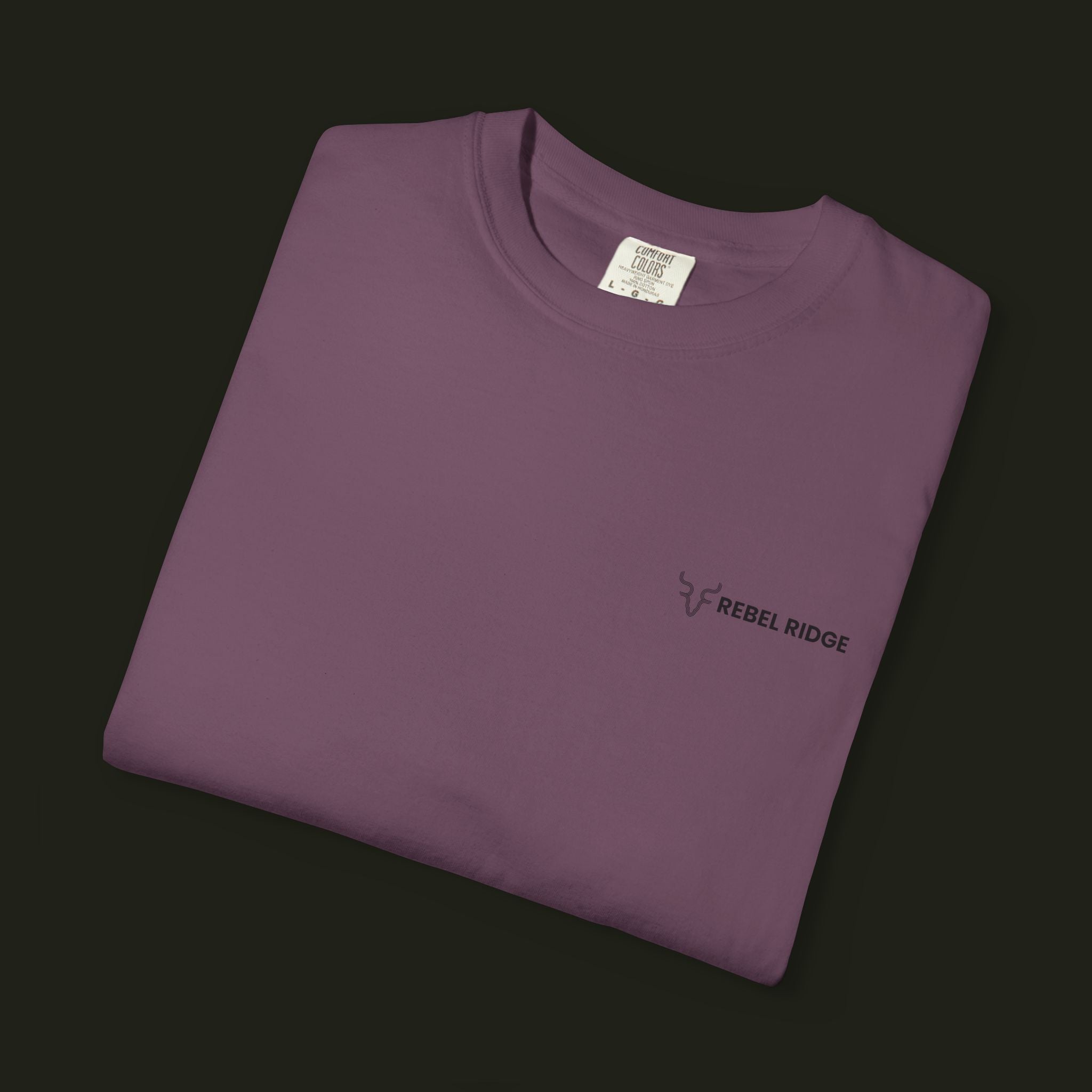 "No Easy Roads" Graphic Tee