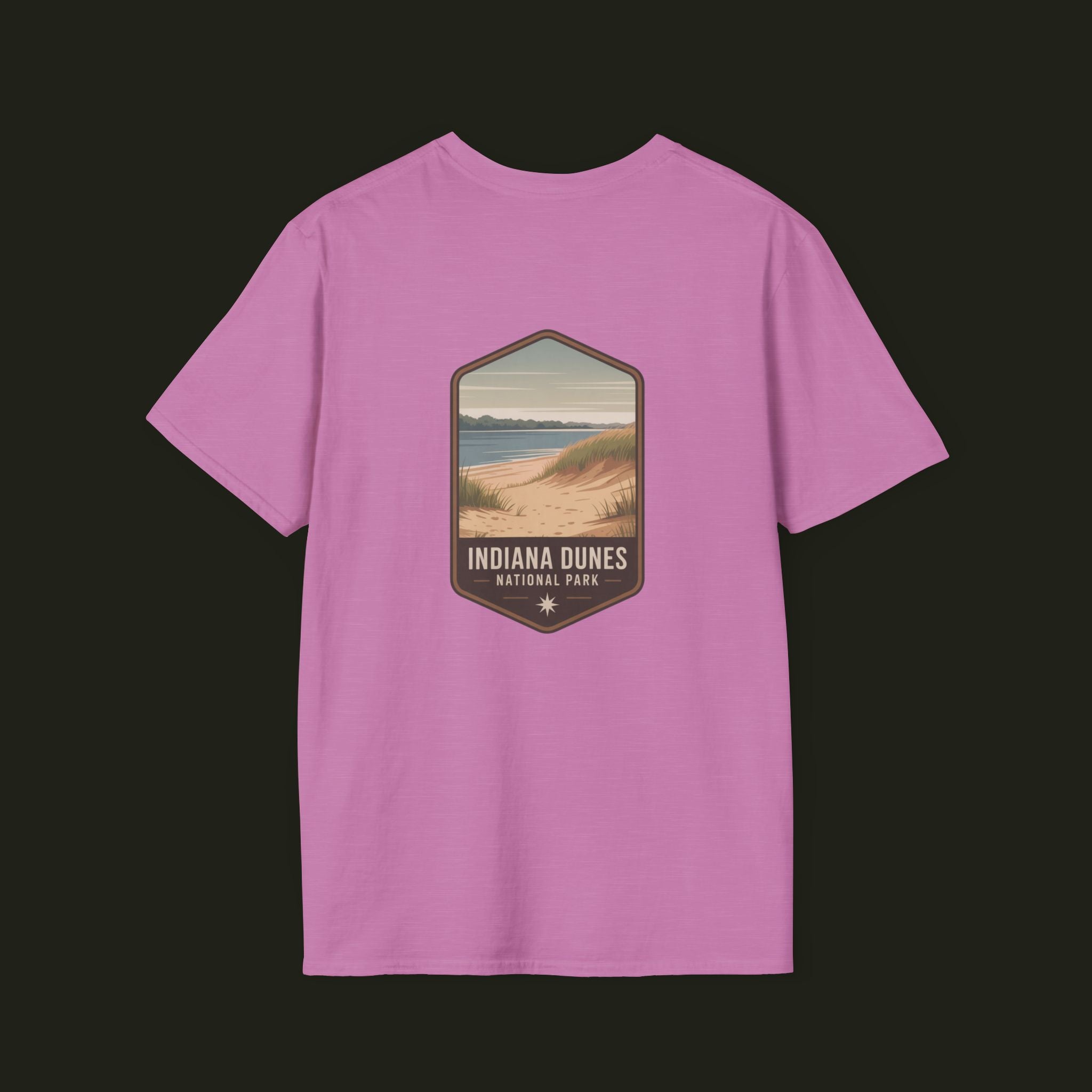 Indiana Dunes Graphic Tee
