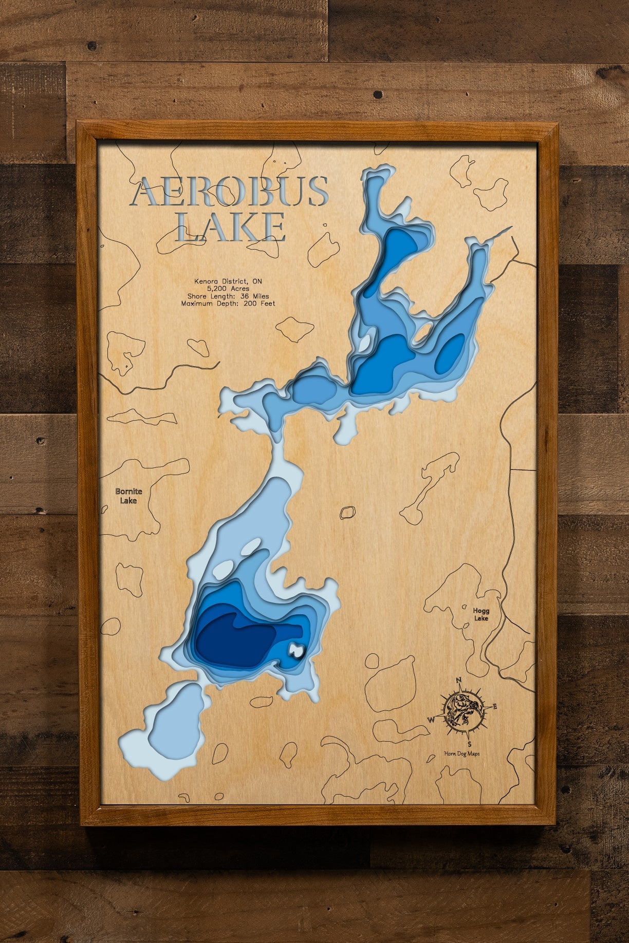 Aerobus (Kenora)