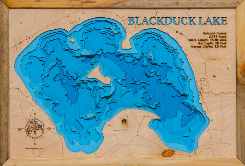 Blackduck (Beltrami)