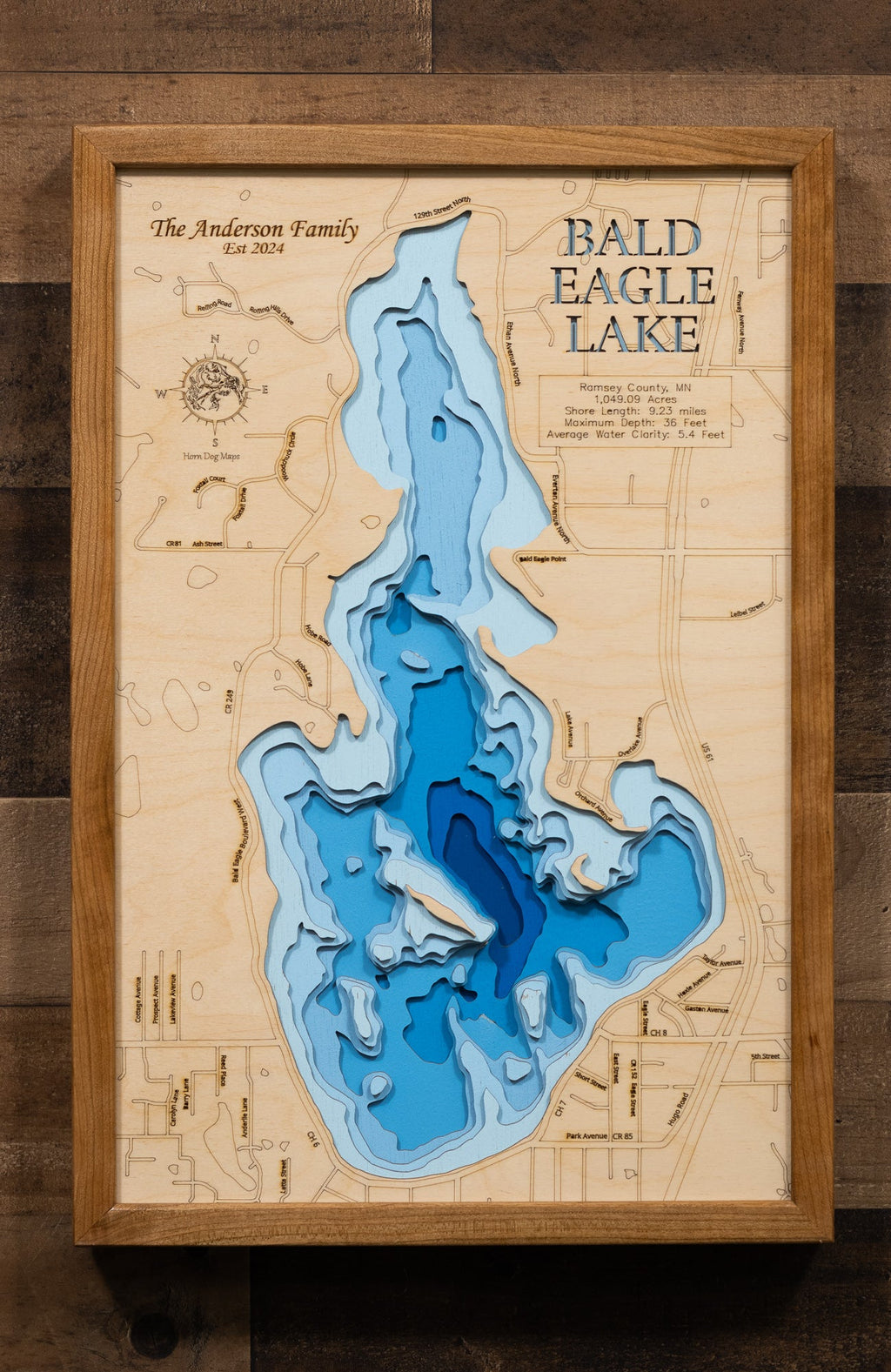 Bald Eagle (Ramsey)