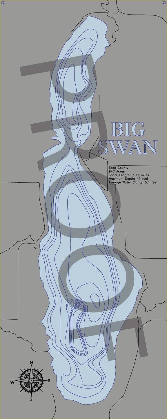 Big Swan (Todd)