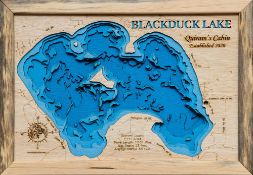 Blackduck (Beltrami)