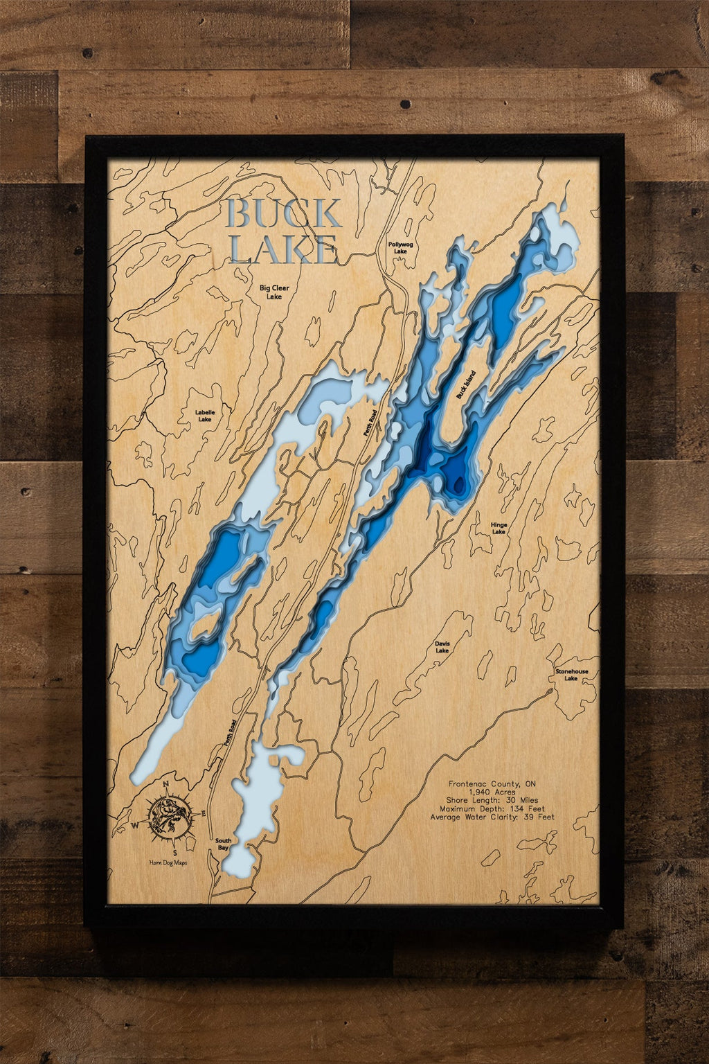Buck (Frontenac)