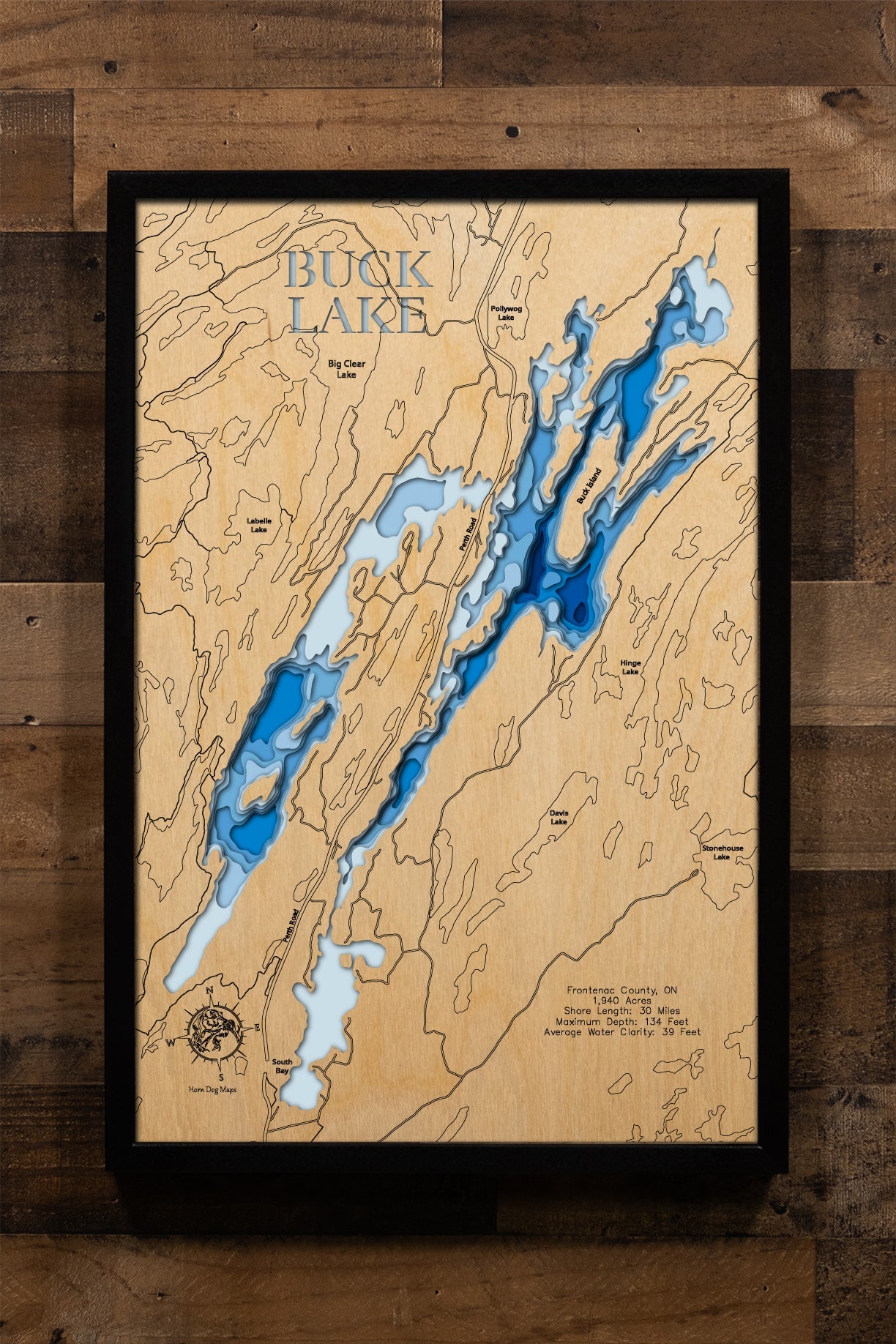 Buck (Frontenac)