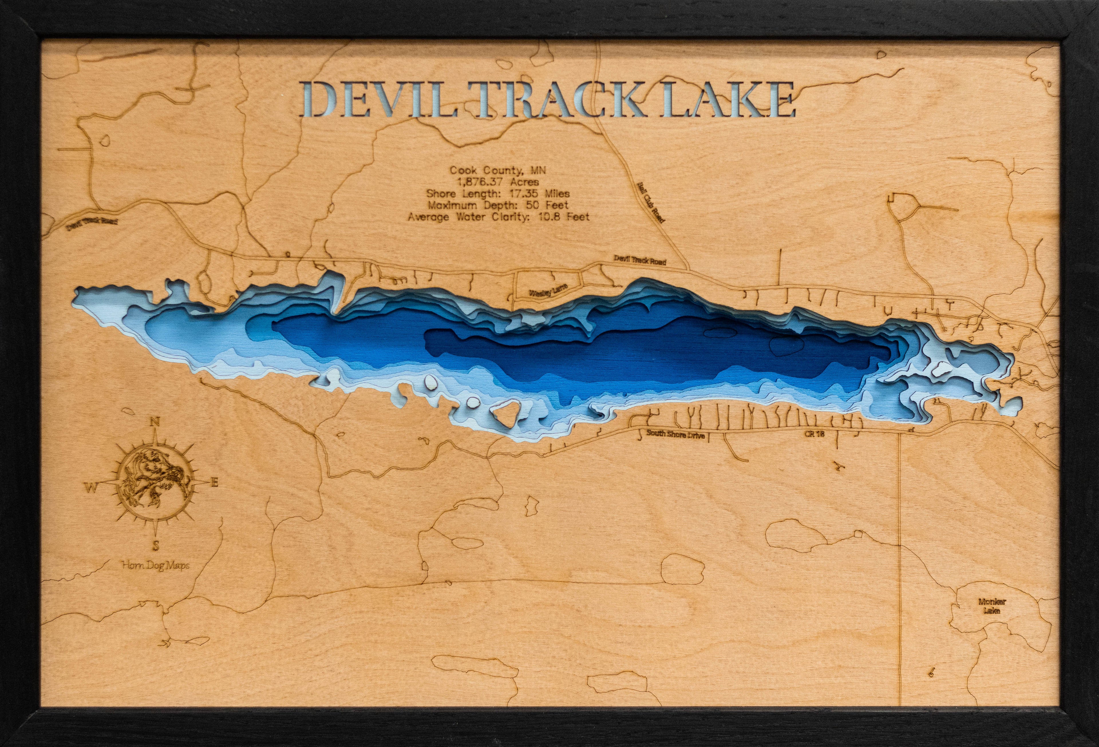 Devil Track (Cook)