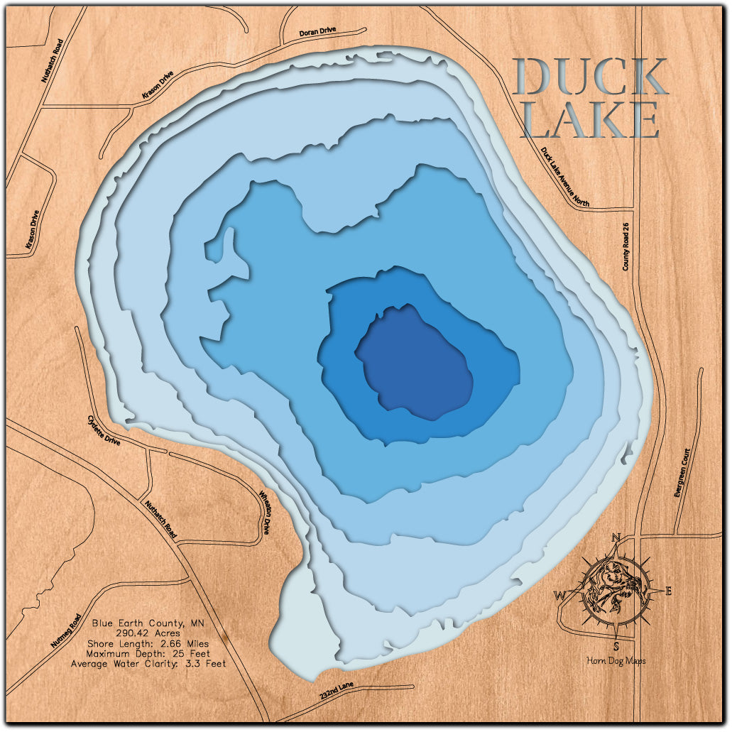 Duck (Blue Earth)