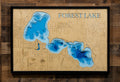 Forest (Washington)