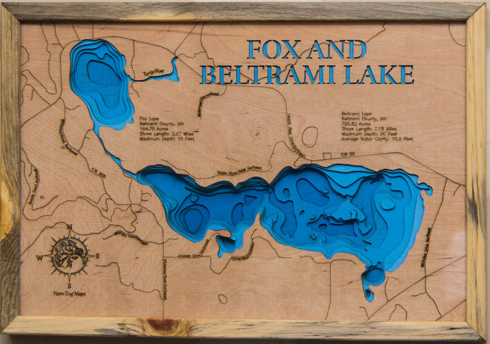 Fox and Beltrami (Beltrami)