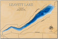 Leavitt (Cass)