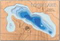 Loon (Itasca)