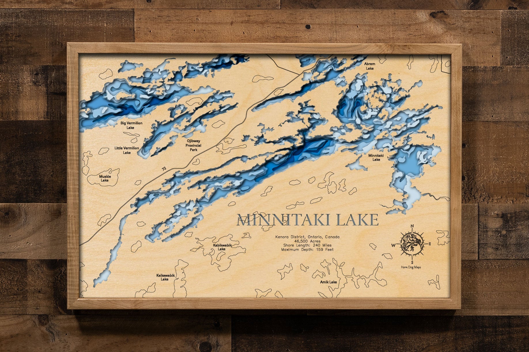 Minnitaki (Kenora District)
