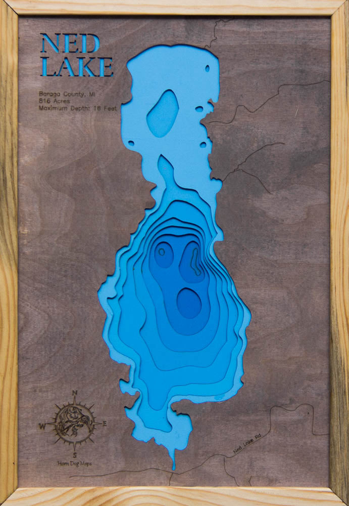 Ned (Baraga)