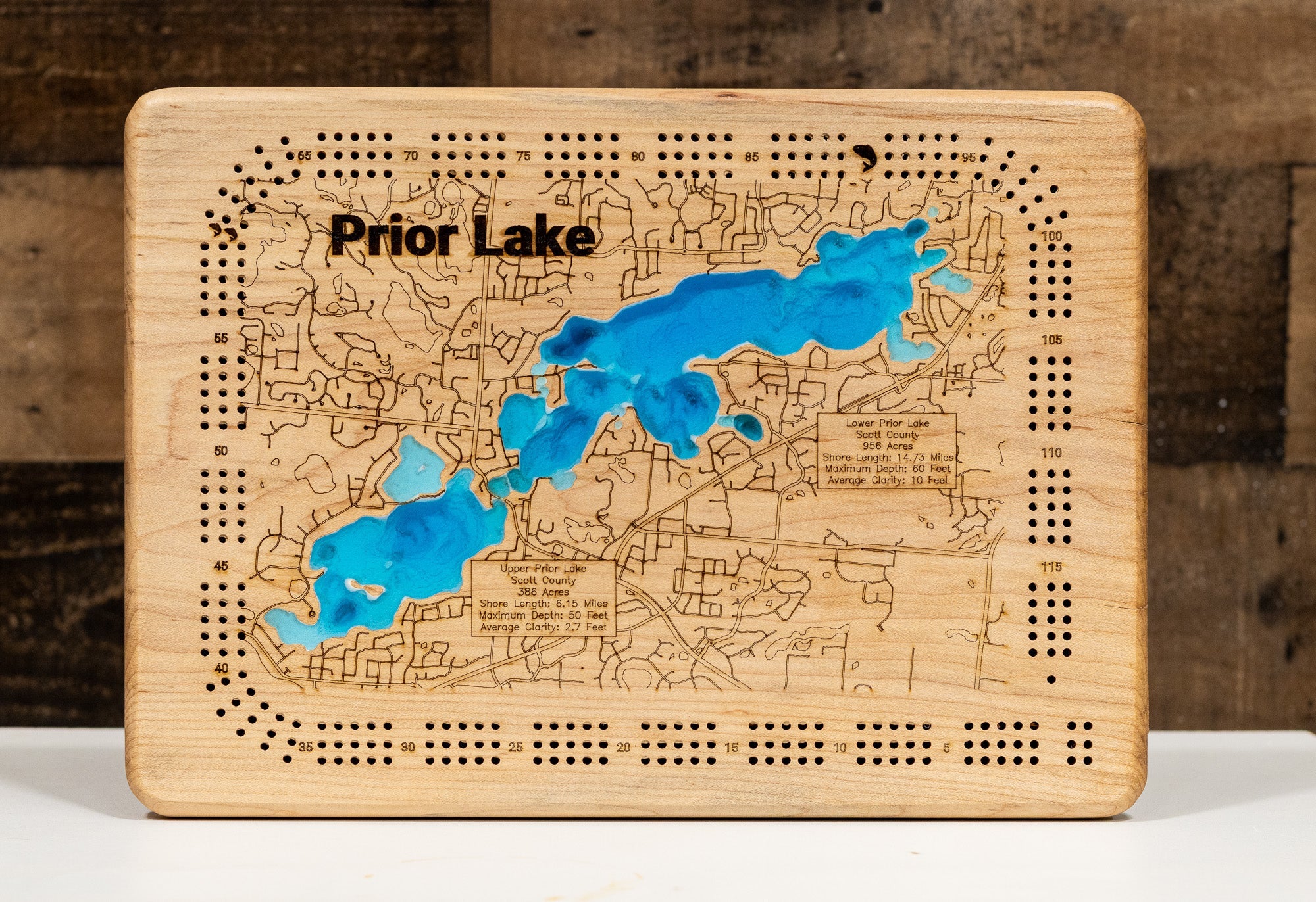 Prior Lake (Scott)