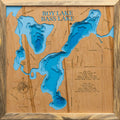 Roy (Crow Wing)