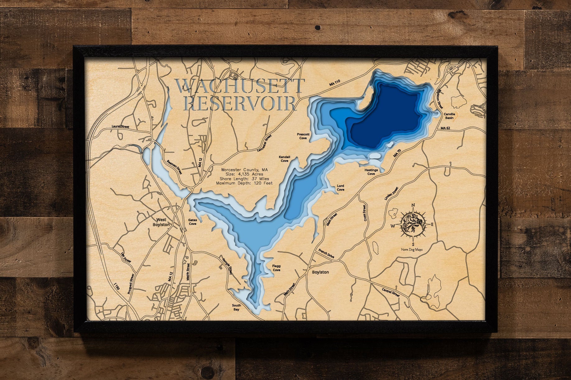 Wachusett Reservoir (Worcester)