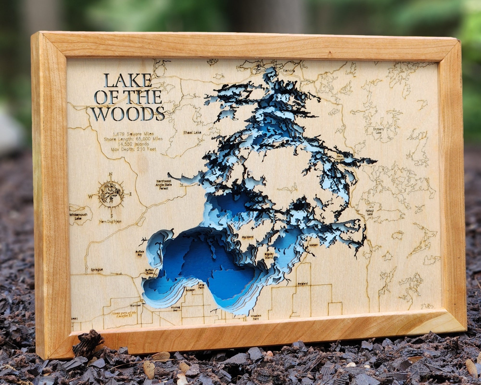 Fox (Becker)